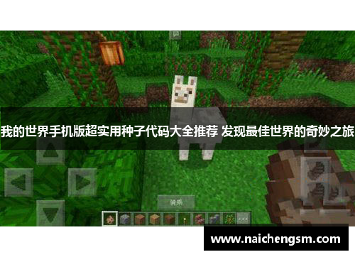 我的世界手机版超实用种子代码大全推荐 发现最佳世界的奇妙之旅